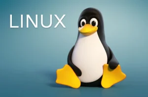 Optimasi Sistem Operasi Linux untuk Kehidupan Harian